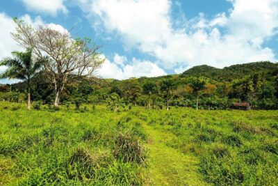 Anamuya Mountains Small Group Walking Tour - Maimon start: ranch drinks, fruit trees, and wildlife eyes