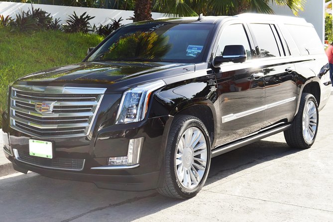 Arrival Luxury Transportation: Punta Cana International Airport to Hotels (1-5) - From PUJ to Your Hotel: What Door-to-Door Really Changes