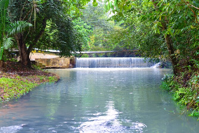 ATV 4 Wheels double from Punta Cana (Half Day) - The cave natural pool swim: the moment that makes the whole tour memorable