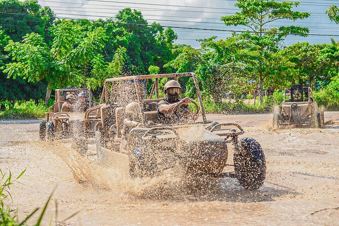 ATV Buggy Adventure in Macao Beach and Traditional Tastings - Traditional House Tastings: Cocoa, Coffee, Tobacco, and Mamajuana