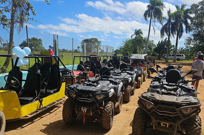 ATV Tour Macao Beach Water Cave and Typical House From Punta Cana - Organic Farm Stop: Learn, Taste, and Rest Your Legs