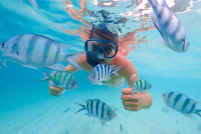 Bacardi Island Excursion with Catamaran, Beach and Lunch - Key things that make this tour worth a look
