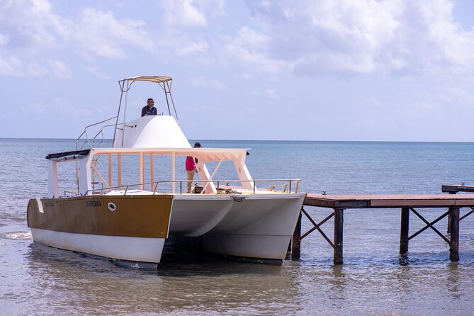 Bacardi Island Excursion with Catamaran, Beach and Lunch - Cayo Levantado beach time: lunch with two drinks, plus real downtime