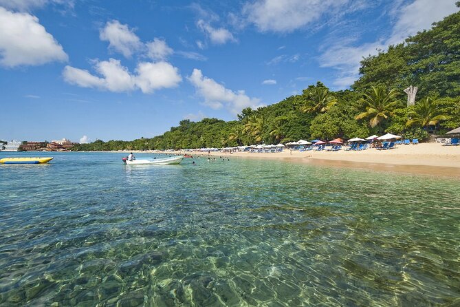 Barceló Bávaro Beach - Round Trip Shuttle - Punta Cana Airport - The return trip to the airport: what to do to avoid last-minute surprises