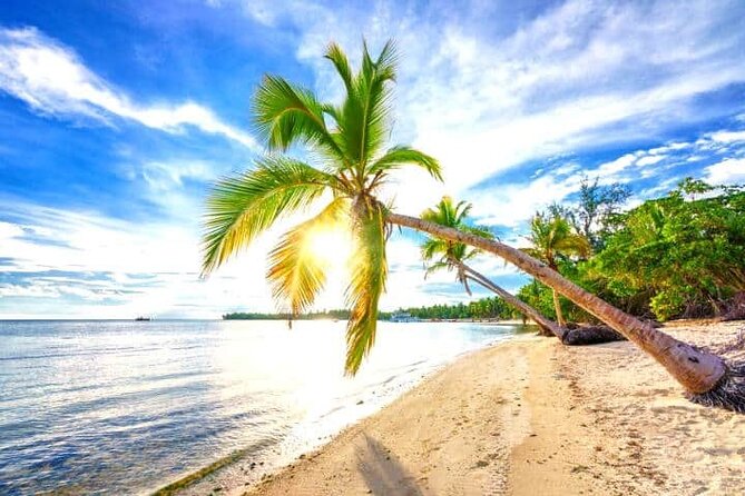 Barceló Bávaro Palace - Round Trip Shuttle - Punta Cana Airport - How This Private Transfer Keeps Punta Cana Stress Low