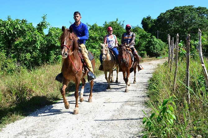 Bavaro Adventure Park Packages from Punta Cana - The Freshwater Lagoon Swim: Best Time to Pack Light and Think Practical