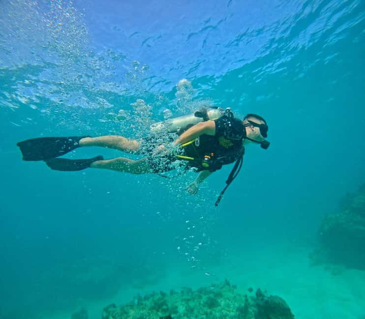 Bávaro: Scuba Diving Experience for Beginners - Why Punta Cana’s water works so well for a first underwater try