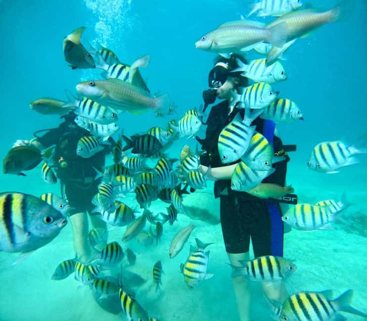 Bávaro: Scuba Diving Experience for Beginners - What the instructor-led basics actually teach you