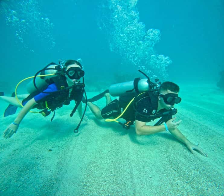 Bávaro: Scuba Diving Experience for Beginners - Getting from Bávaro and feeling the timing of the 210 minutes