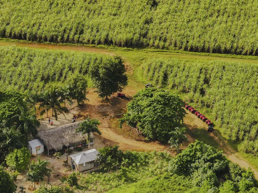 Bayahibe: ATV Tour through Countryside, Chavón River - Local tastings in Bayahibe: chocolate, coffee, and mamajuana
