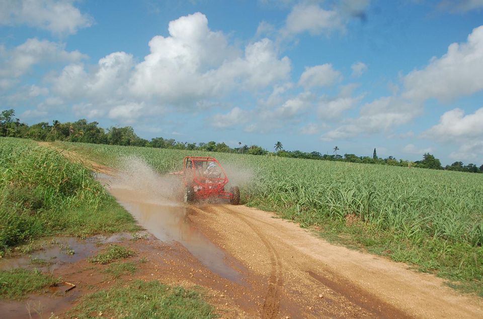 Bayahibe: Buggy tour amazing half-day - Key highlights to notice before you book