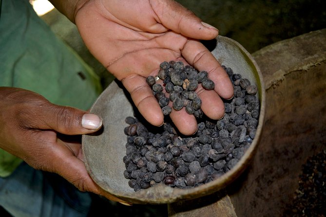 Bayahibe Countryside Safari from La Romana - A local school and village visit: fruit, coffee, cacao, and real daily life