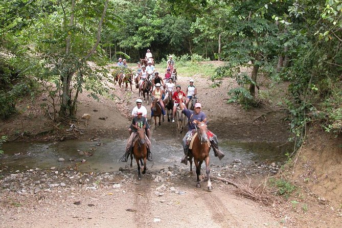 Bayahíbe Horseback Riding & River swimmig - Key takeaways before you go