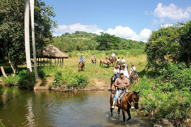 Bayahíbe Horseback Riding & River swimmig - Horseback riding through forest and toward the water