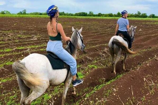 Bayahíbe Horseback Riding & River swimmig - Pickup reality check: Bayahibe area vs La Romana