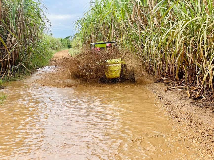 Bayahibe: Jungle Off-Road Buggy Adventure - Sugar Cane Plantation Stop: The Taste Lesson You Don’t Expect