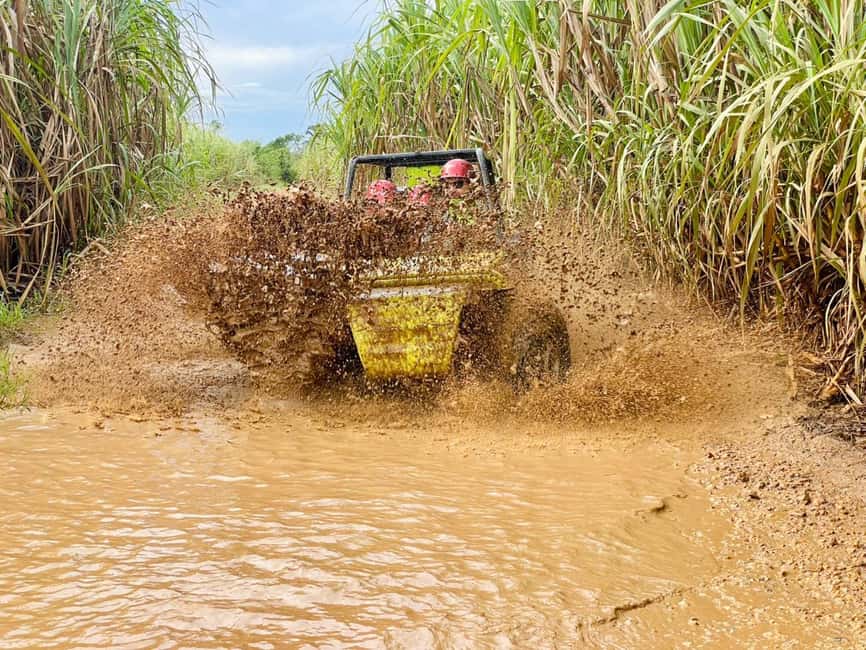 Bayahibe: Jungle Off-Road Buggy Adventure - The Ranch World: Banana Walks, Mamajuana Toast, and Tasting Realities