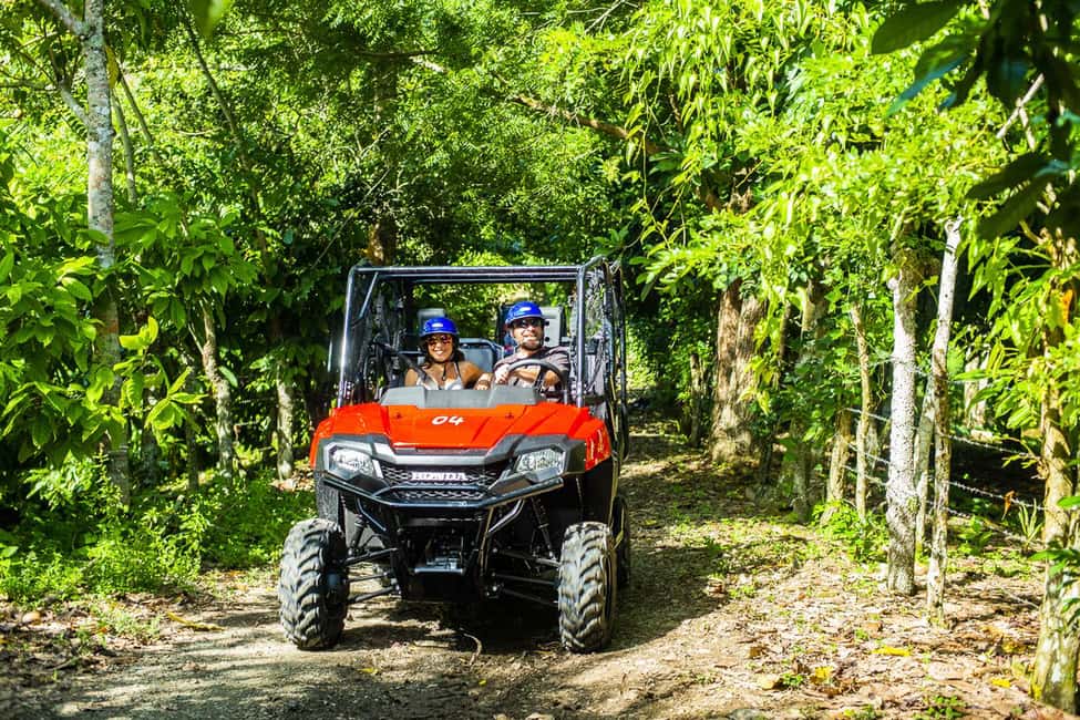 Bayahibe/La Romana: 4x4 Buggy and Monkeyland Tour - 4x4 Buggy + Monkeyland: The Big Idea