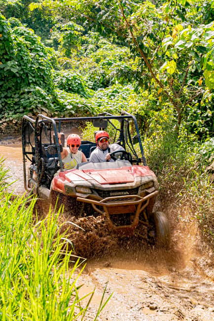 Bayahibe/La Romana: 4x4 Buggy and Monkeyland Tour - Monkeyland: 45 Minutes With Squirrel Monkeys Up Close