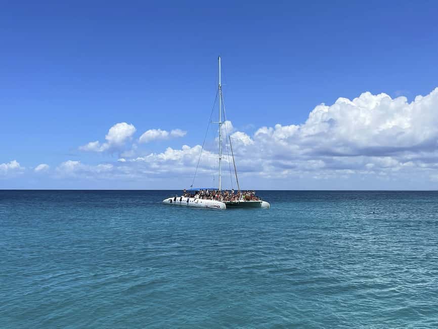 Bayahibe: Saona Island Boat Tour Small Group - From Bayahibe to Saona Island: what the day feels like