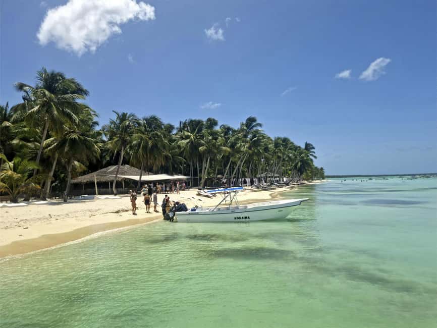 Bayahibe: Saona Island Boat Tour Small Group - Snorkeling near Saona: gear, rules, and how to get the most