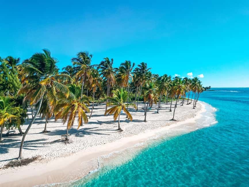 Bayahibe: Saona Island Catamaran Cruise with Natural Pool - Saona Island arrival: beach setup, buffet lunch, and using your 2.5 hours