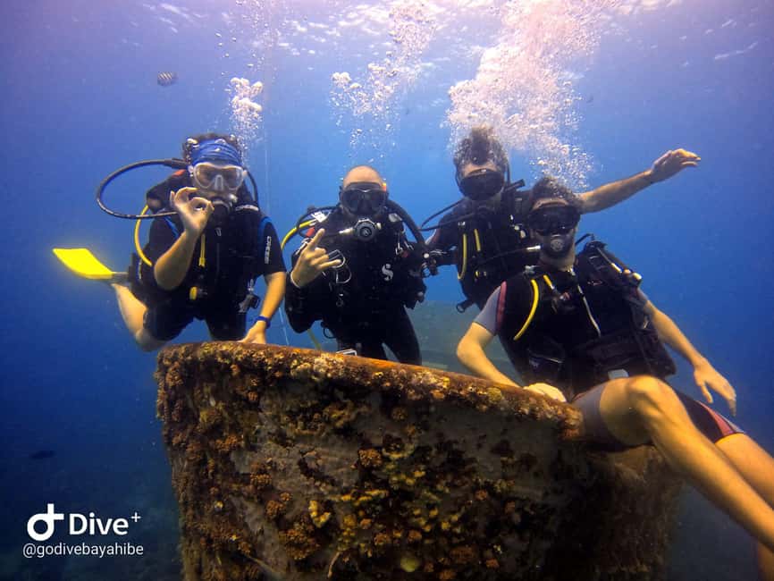 Bayahibe: Scuba Diving Initiation by Go Dive Bayahibe - Bayahibe Scuba Initiation: Small Group Confidence on the Reef