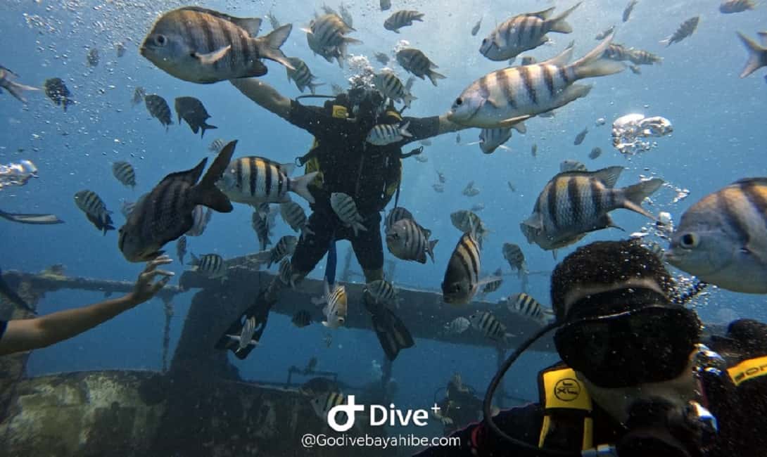 Bayahibe: Scuba Diving Initiation by Go Dive Bayahibe - Training That Actually Helps: How Gaëlle and Julien Teach Beginners