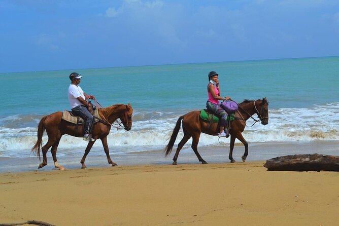 Beach Horse Ride with countryside amber cove & Taino Bay - Value check: is $90 worth a 1.5-hour horseback outing?