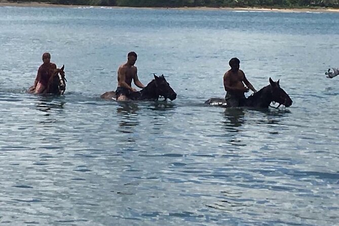 Beach Horse Ride with countryside amber cove & Taino Bay - Weather, timing, and minimum numbers: the three practical limits