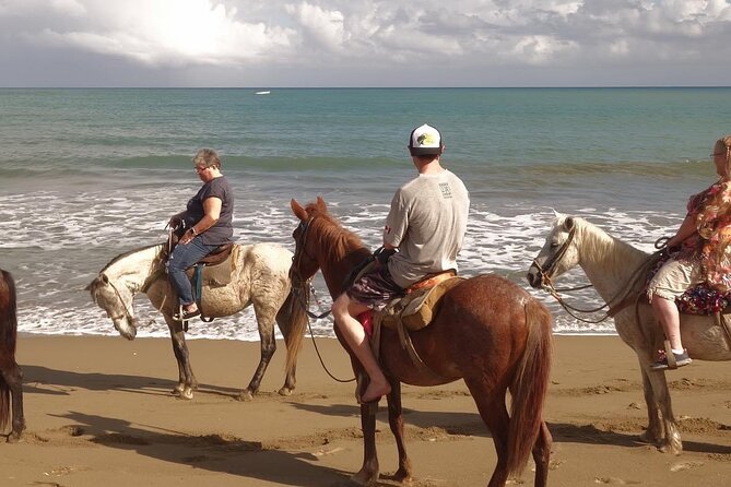 Beach Horse Ride with countryside amber cove & Taino Bay - At the ranch: saddled horses and the crew’s horse-first mindset