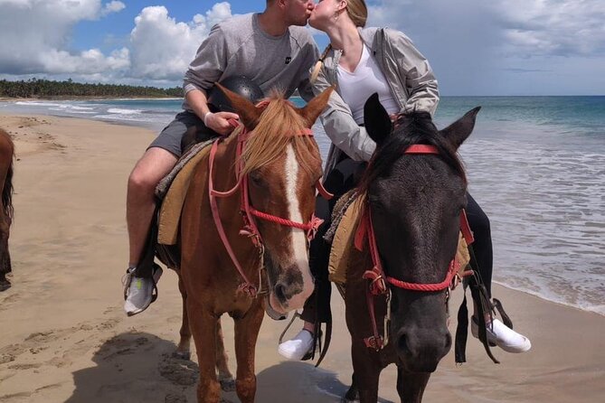 Beach Horseback Ride Tour at Punta Cana - Key highlights you’ll feel the most