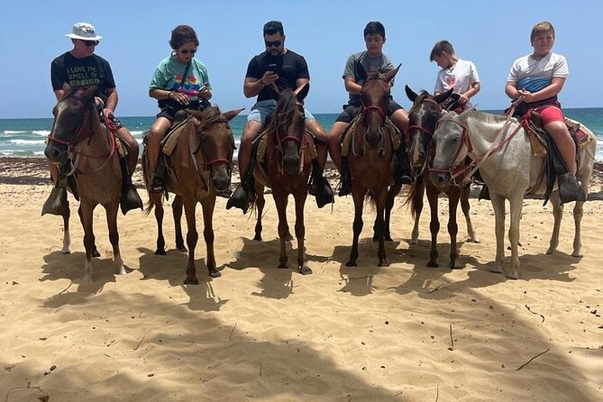Beach Horseback Ride Tour at Punta Cana - Pickup and timing: how the day flows (and where it can wobble)
