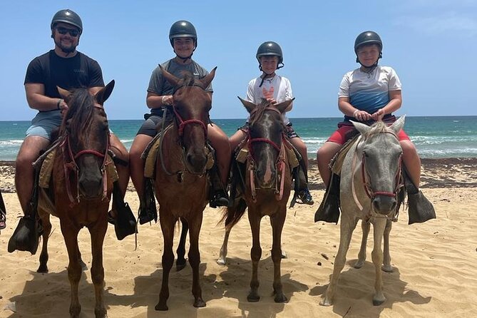 Beach Horseback Ride Tour at Punta Cana - Who this Punta Cana beach ride is best for