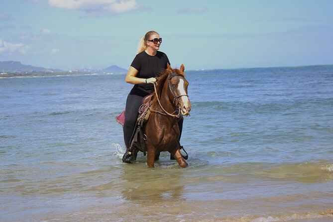 Beach Horseback Riding and Swim Horse in Puerto Plata - Key Highlights You’ll Feel Immediately