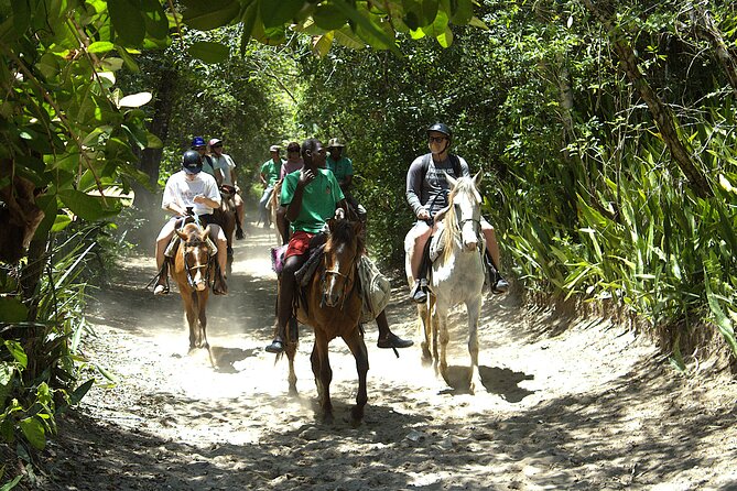 Beach Horseback Riding and Swim Horse in Puerto Plata - Food, Drinks, and the Beach Restaurant Stop You’ll Actually Use