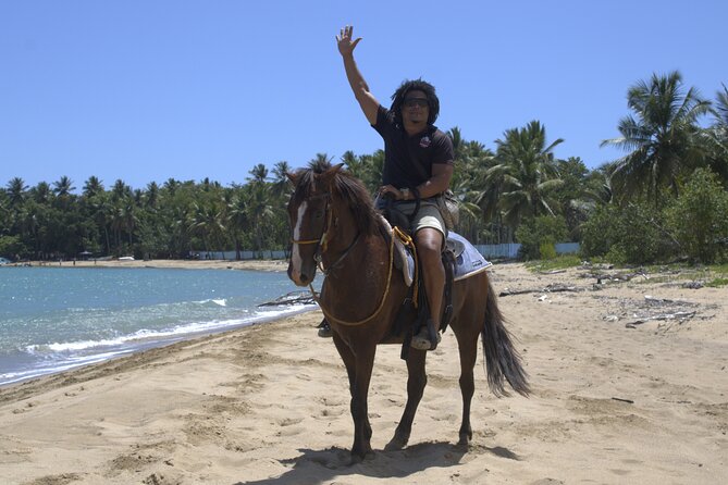 Beach Horseback Riding and Swim Horse in Puerto Plata - Price and Value: Why $79 Often Feels Fair
