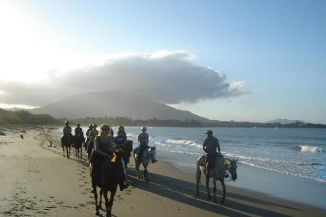 Beach Horseback Riding in Puerto Plata - Key Things to Know Before You Go