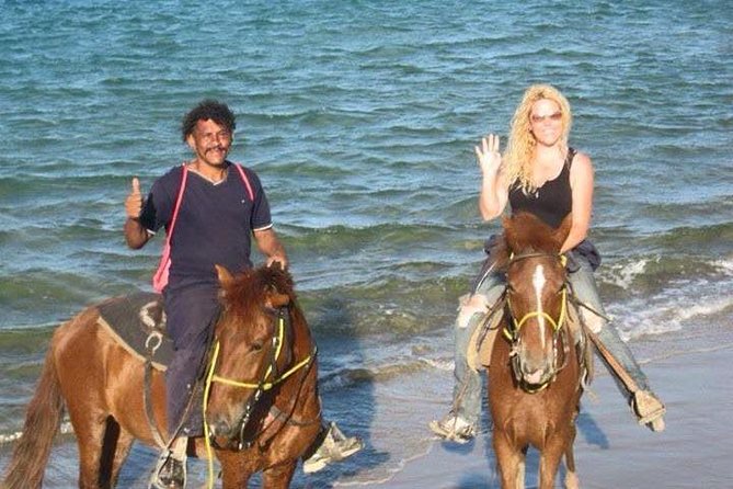 Beach Horseback Riding in Puerto Plata - The Good and the Not-So-Good: A Balanced Look