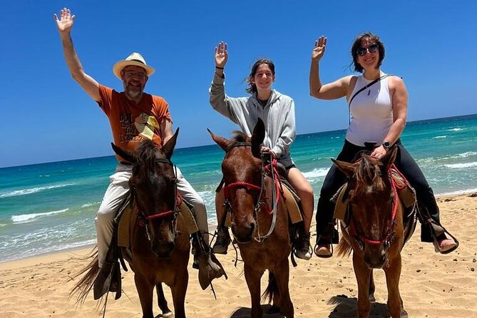 Beach Sunset Horseback Ride in Punta Cana - The 2.5-hour flow: what happens from pickup to sunset beach time
