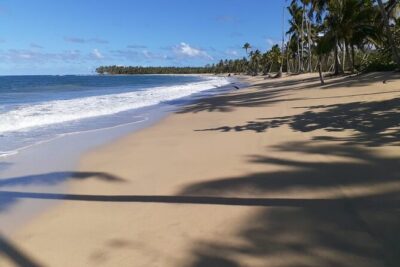 Best ATV Tour In Punta Cana - Playa Limon: beach ATV time and fresh coconut water