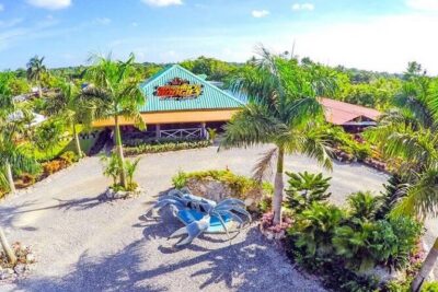Boogies Adventure, Private Cave, Taino Show - Ranch and Taino Village: getting past the staged version of culture