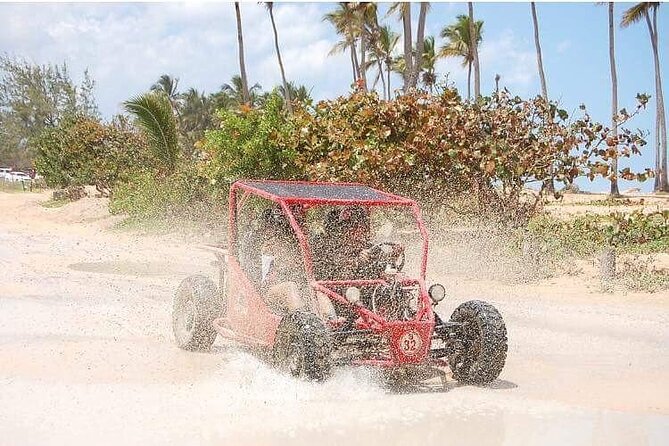 Boogies & Polaris - Explore Punta Cana in a Buggy - Natural cave swim: the highlight that changes the day