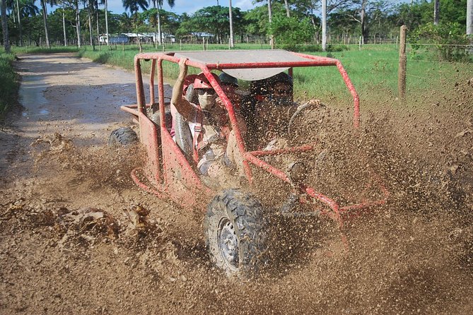 Buggies Experience From Punta Cana - Quick Take: What Makes This Buggy Ride Worth Your Time