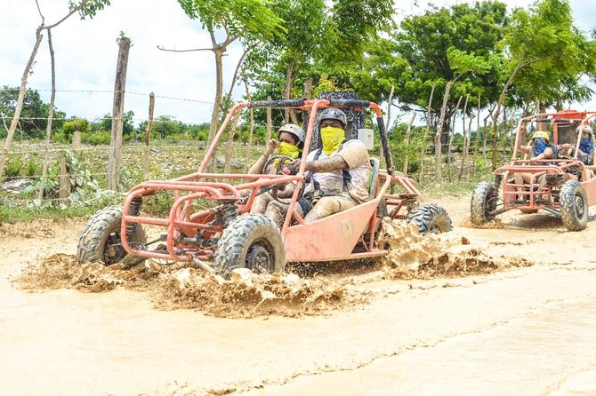 Buggies Experience From Punta Cana - Price and Logistics: What Your Money Actually Buys