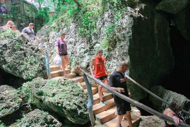 Buggies Half Day Experience and Cenote - Macao Cave (cenote) swim: why this is the main event
