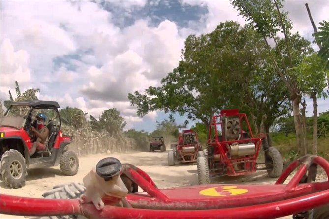 Buggies Punta Cana Macao - Key highlights worth your attention