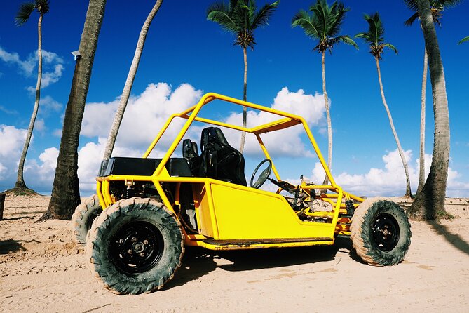 Buggy Adventure: Macao Beach & Cenote Experience - Cooperative farm tastings: coffee, chocolate, tobacco, and rum
