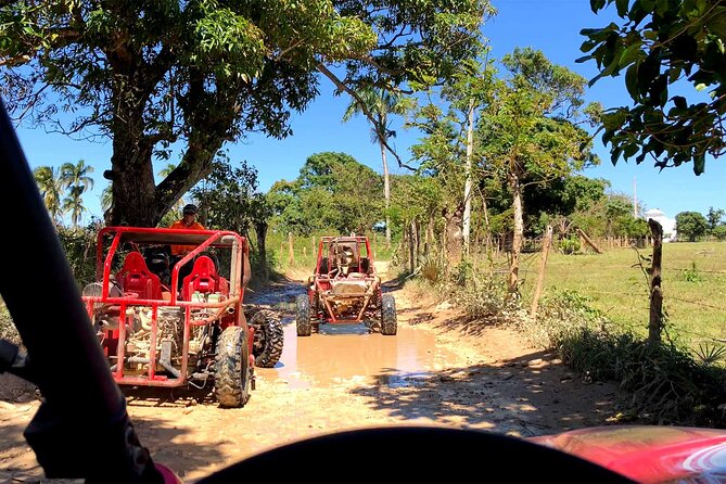 Buggy Adventure: Macao Beach & Cenote Experience - The cenote break: Cenote Taina swimming in crystal-clear water