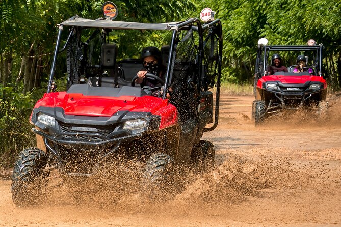 Buggy Adventure with Cenote, Waterfalls & Dominican Lunch - Where the adventure starts: Bavaro Adventure Park and the off-road track
